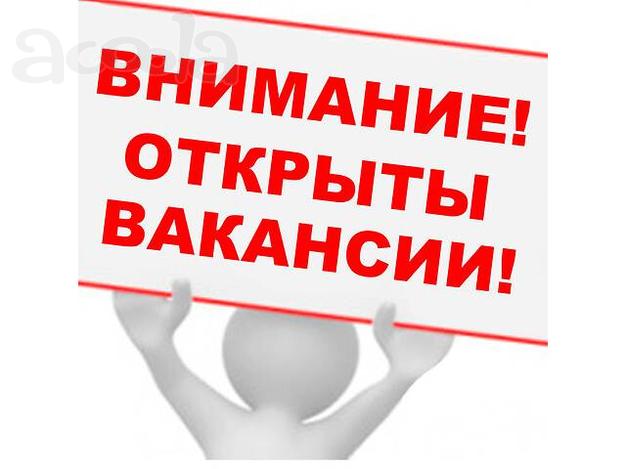 Маркетолог в интернет магазин