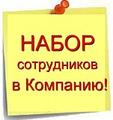 Помощник в приемную