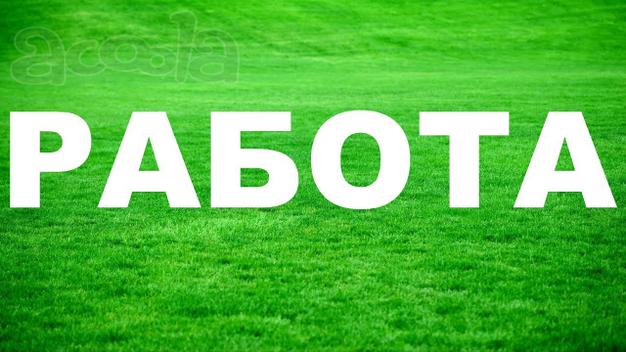 Работа на опросах (интервьюер)